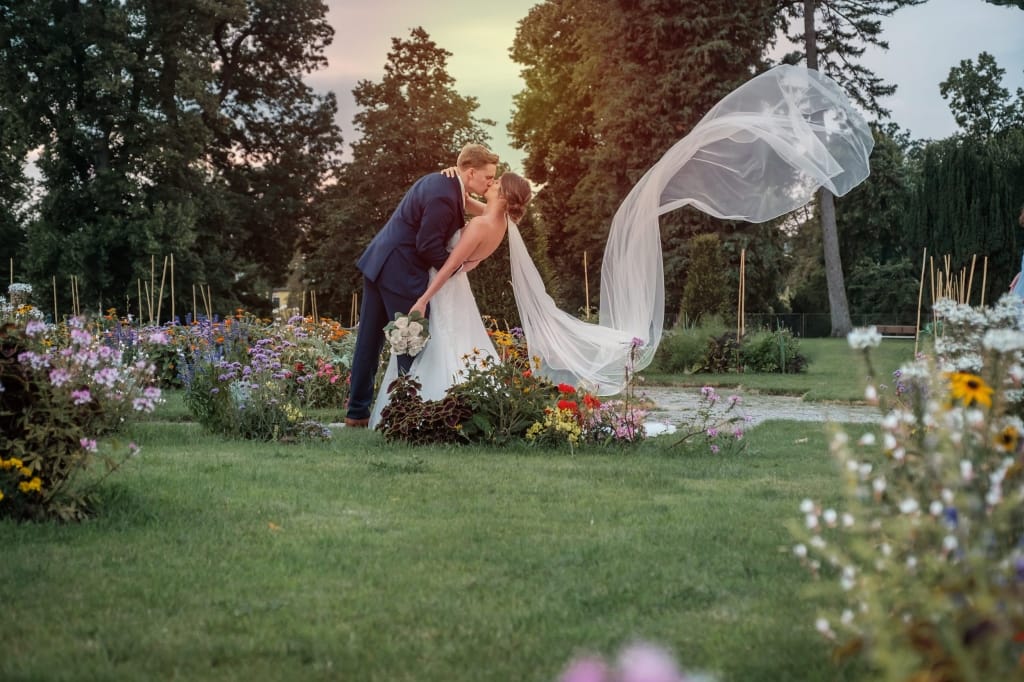 Hochzeitskrone Ein Bräutigam küsst eine Braut in einem von Blumen umgebenen Garten, während ihr langer Schleier anmutig im Wind weht. Dieser Moment fängt die Essenz authentischer Hochzeitsfotos ein, perfekt für jeden Hochzeitsfotografen in Wien und Niederösterreich.