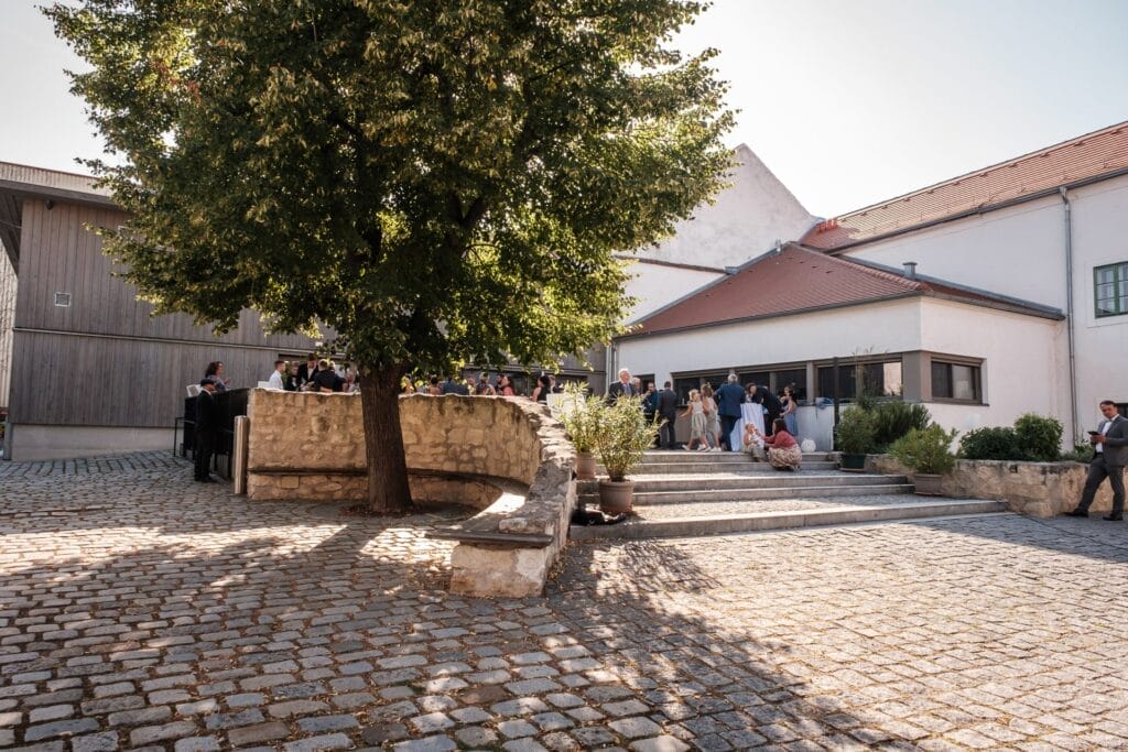 Hochzeitskrone Eine Gruppe von Menschen versammelt sich in einem bezaubernden Innenhof mit Kopfsteinpflaster und einem großen Baum, in der Nähe von Gebäuden mit hellen Wänden und schrägen Dächern, und fängt bezaubernde Momente inmitten der zauberhaften Umgebung ein.